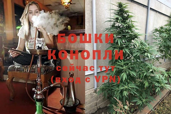 марки lsd Алзамай
