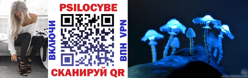 Псилоцибиновые грибы Cubensis  купить закладку  Суровикино 